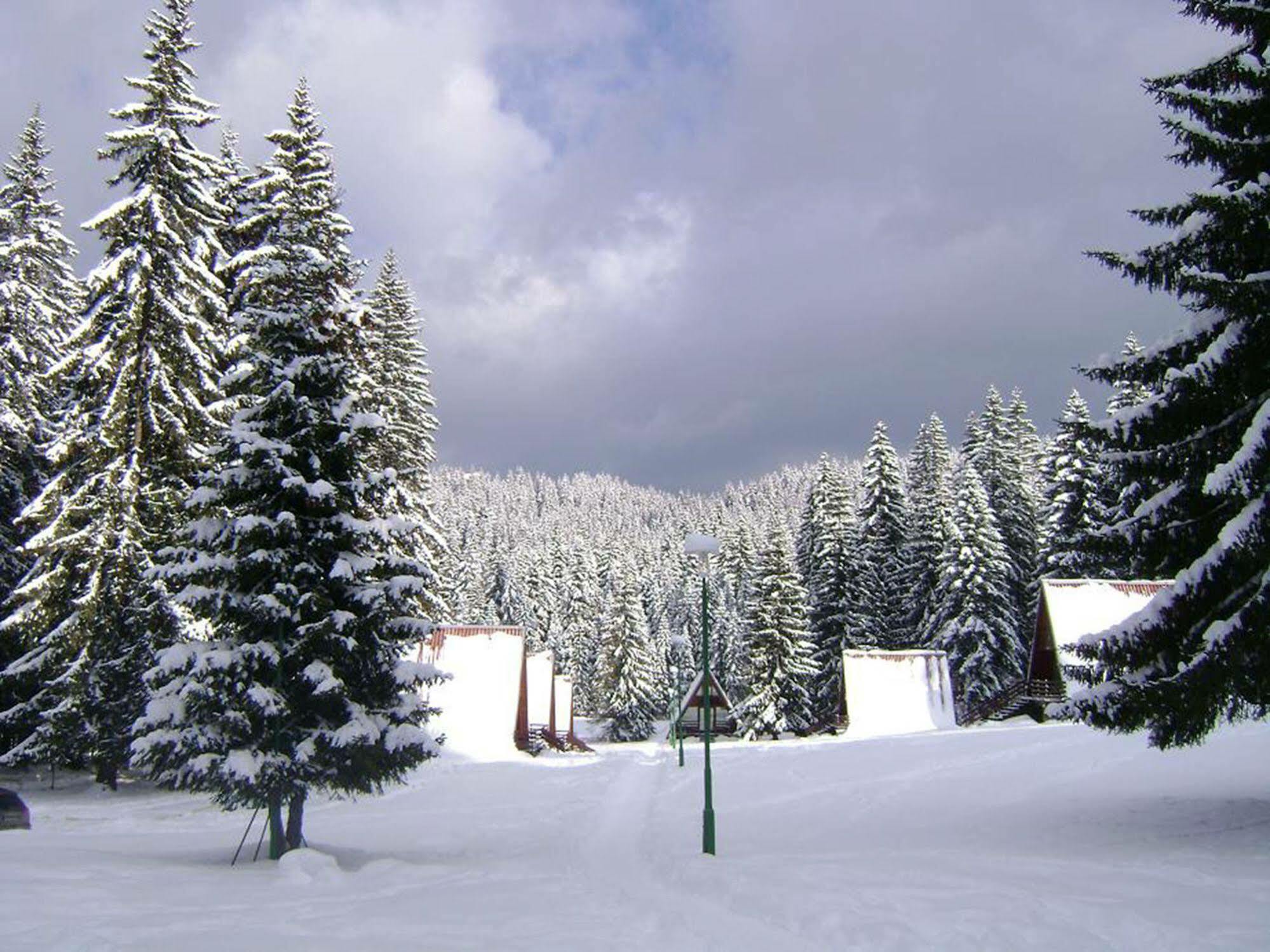 Villa Complex Malina Pamporovo Exterior foto