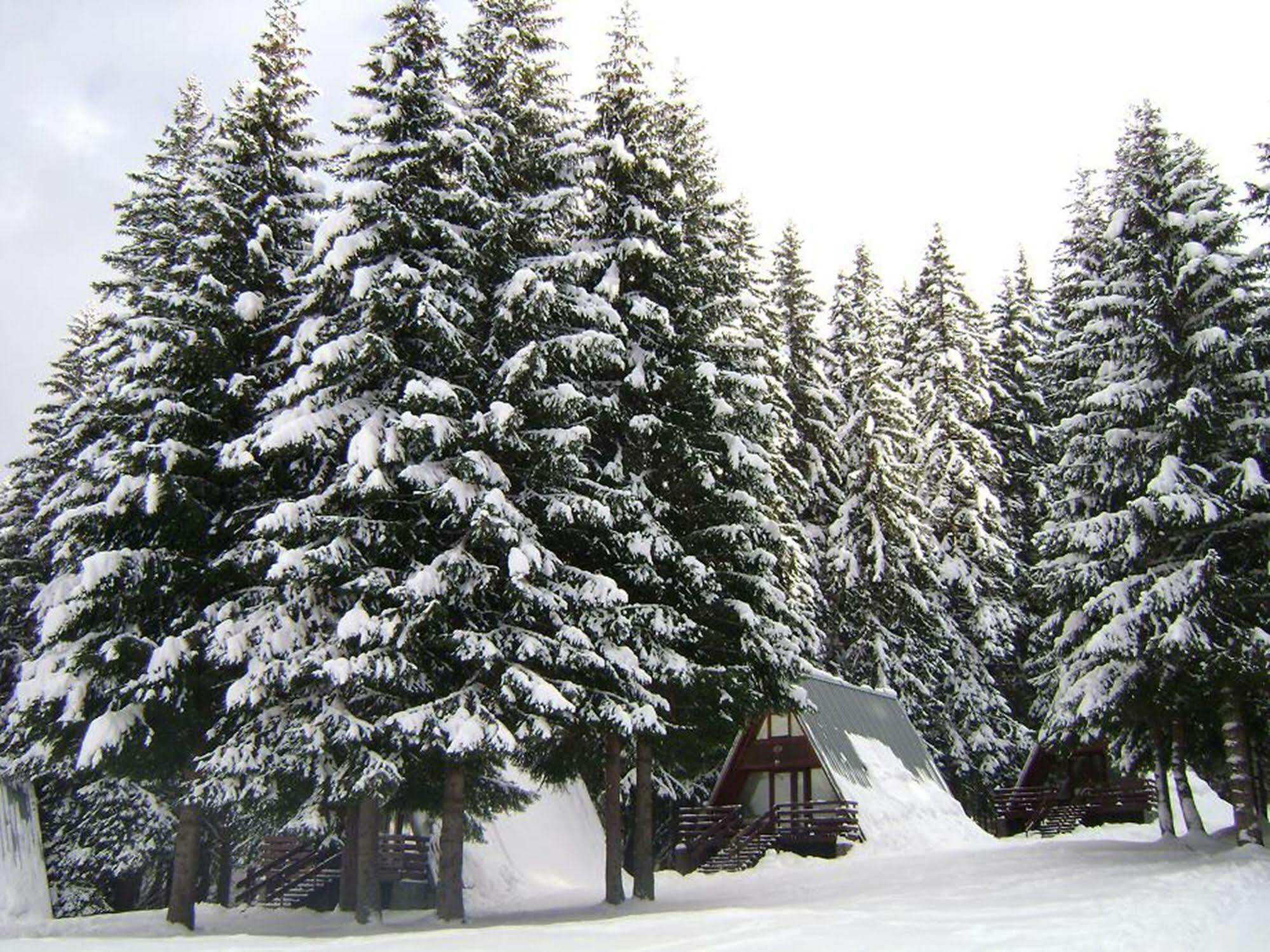 Villa Complex Malina Pamporovo Exterior foto
